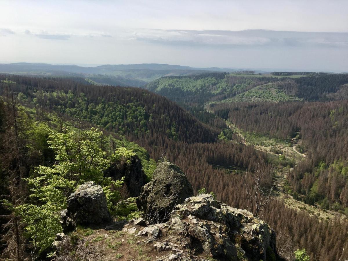 Appartamento Bergwelt Braunlage Esterno foto