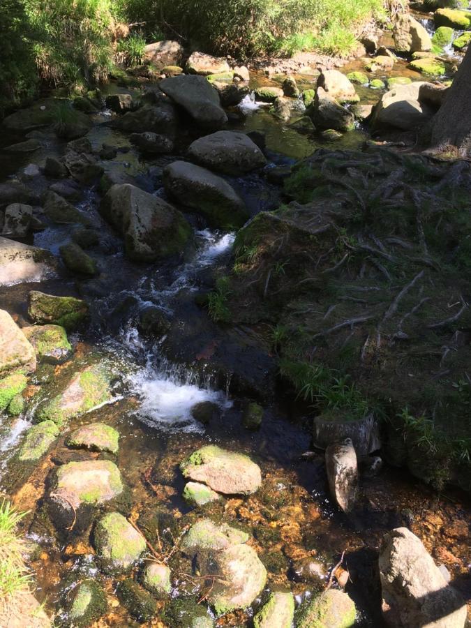 Appartamento Bergwelt Braunlage Esterno foto
